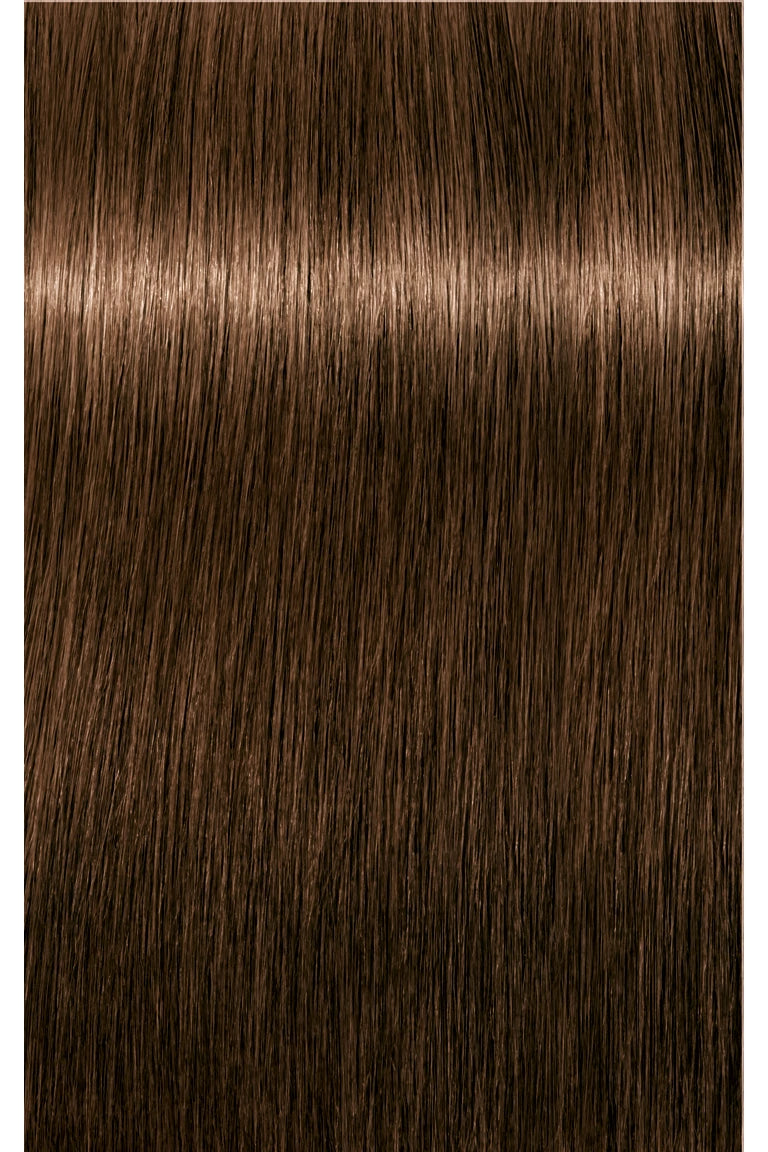 IGORA ROYAL Absolutes Permanent Color