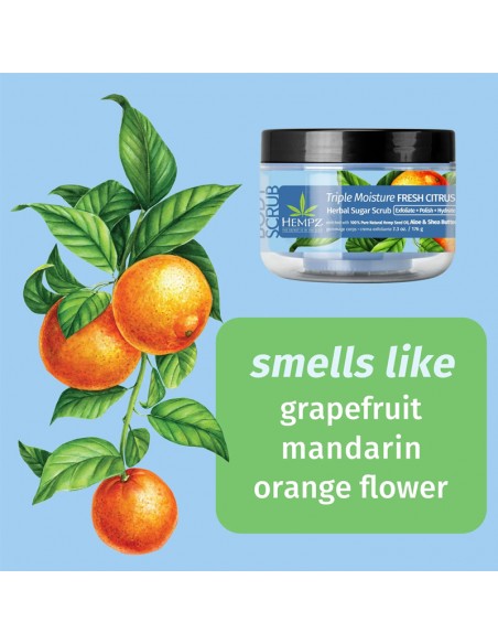 Hempz - Herbal Sugar Scrub - Triple Moisture Fresh Citrus - 176g