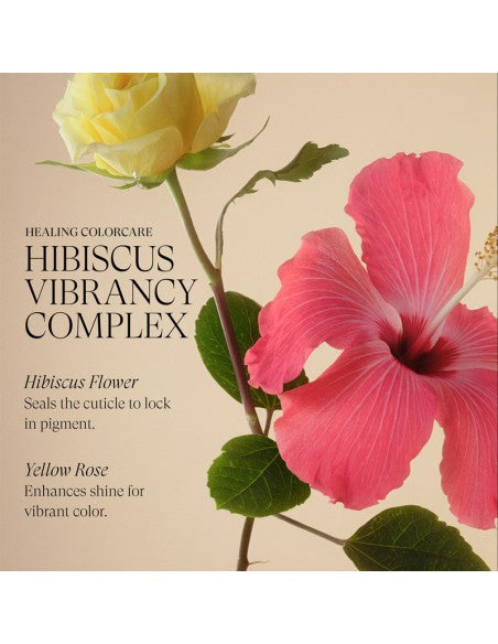 LANZA Healing ColorCare - Purple Shampoo - 950ml