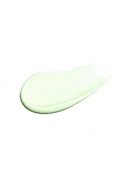 LANZA Healing Style - Cactus Protecting Sculpting Paste - 100ml