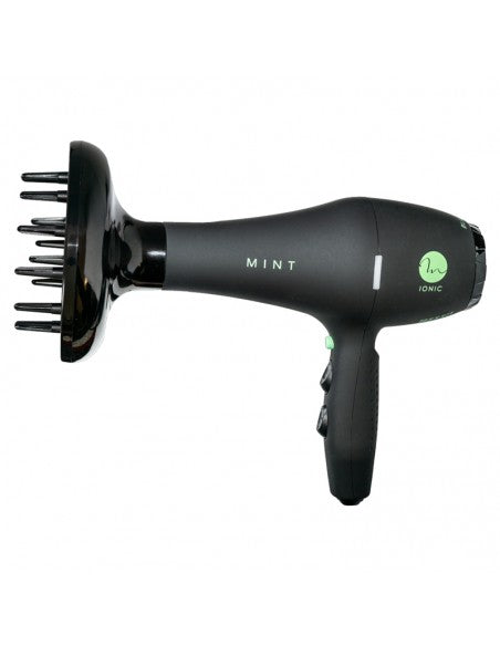 Mint Dryer - Black Bird