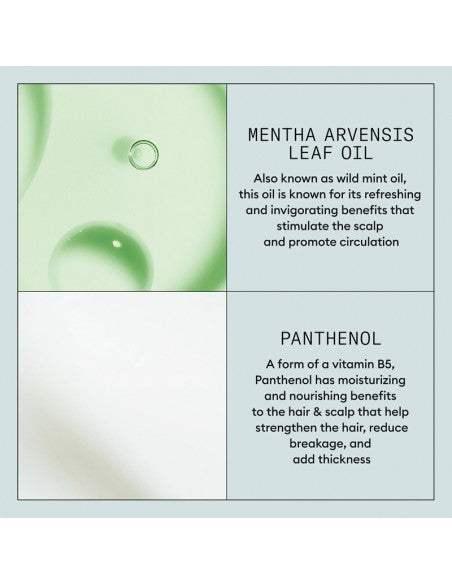 Nioxin - Density Defend Styling - Volumizing + Thickening Mousse Foam - 192g