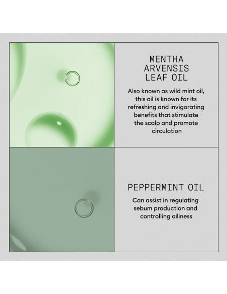 Nioxin - Scalp Renew - Dermabrasion Treatment - 75ml