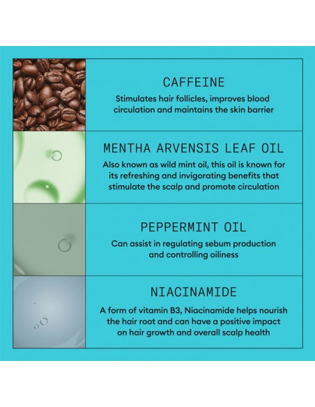 Nioxin - System 3 Kit