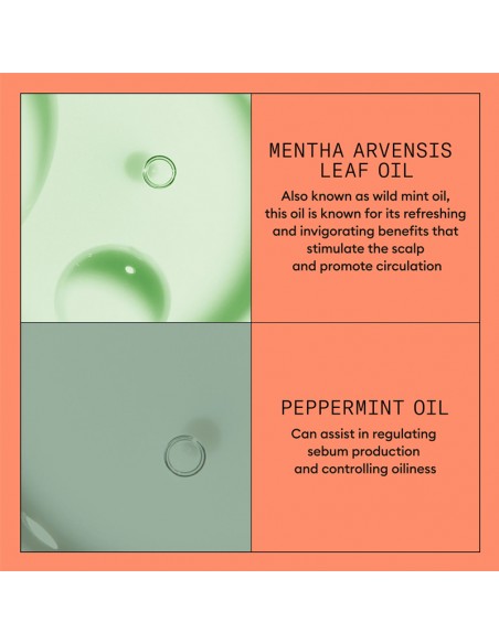 Nioxin - System 4 - Scalp + Hair Conditioner - 500ml