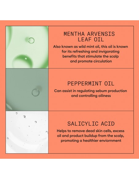 Nioxin - System 4 - Scalp + Hair Shampoo - 1000ml