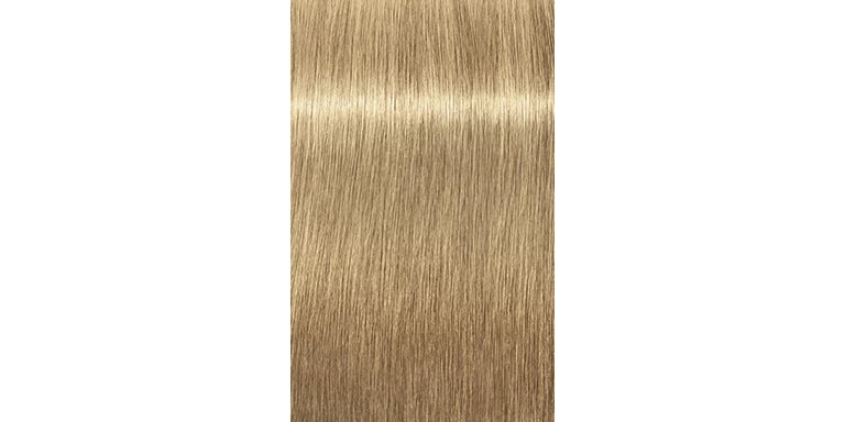 IGORA ROYAL Absolutes Permanent Color - 60ml