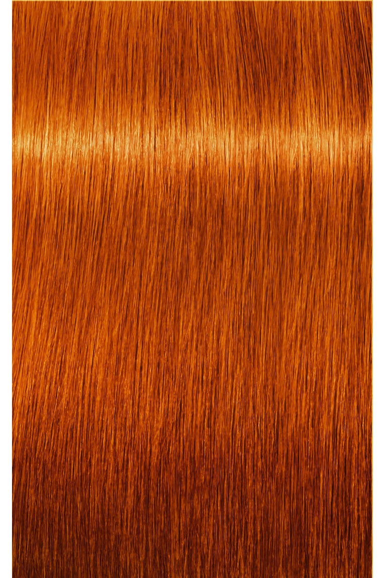 IGORA ZERO AMM Ammonia-Free Permanent Hair Color - 60ml