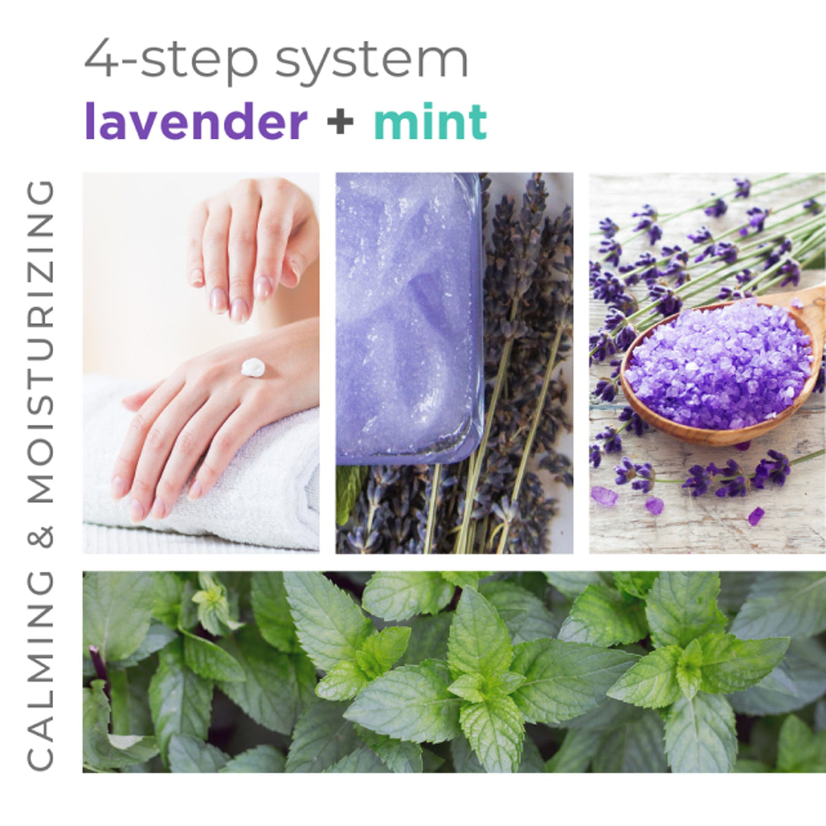 BCLspa - Lavender & Mint Moisture Mask - 1892ml