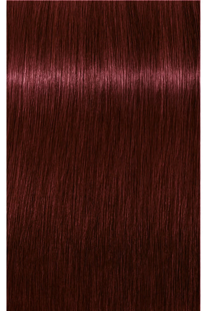 IGORA Royal Permanent Hair Color - 60 ml