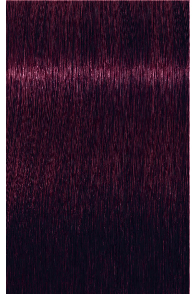 IGORA Royal Permanent Hair Color - 60 ml