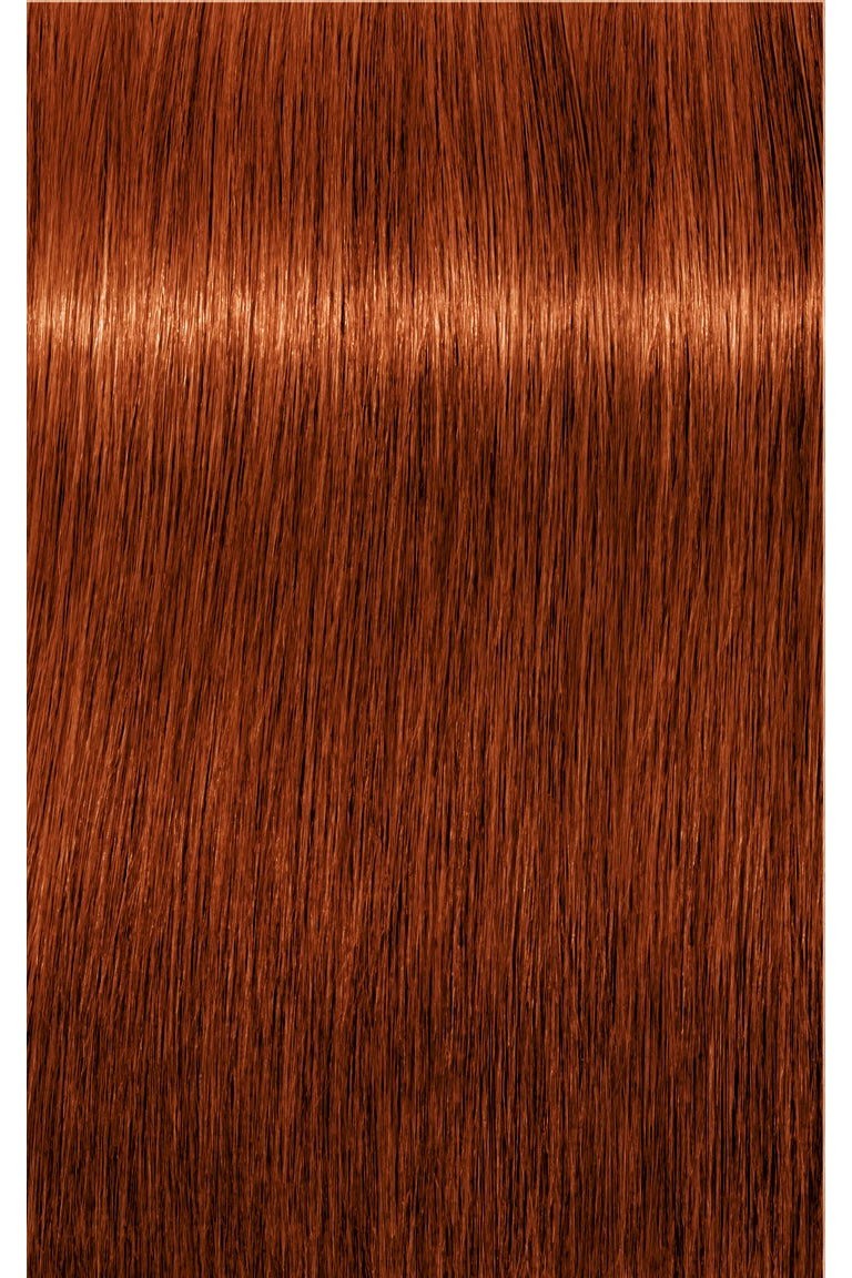 IGORA Royal Permanent Hair Color - 60 ml