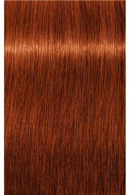 IGORA Royal Permanent Hair Color - 60 ml