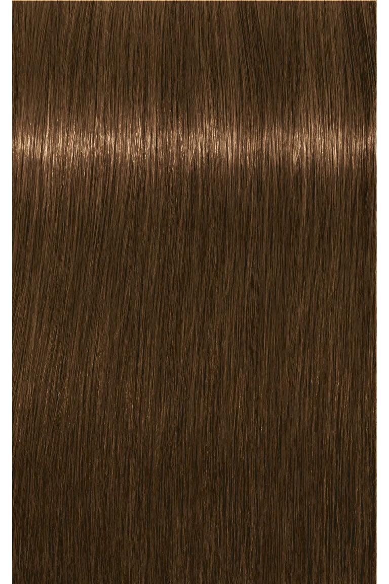 IGORA ROYAL Absolutes Permanent Color - 60ml