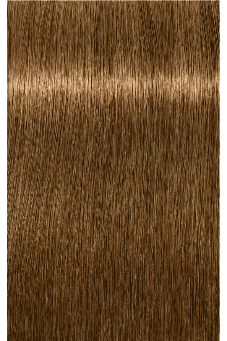 IGORA ROYAL Absolutes Permanent Color - 60ml