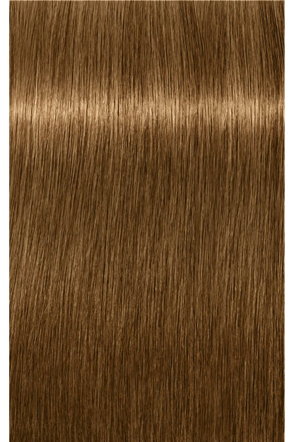 IGORA ROYAL Absolutes Permanent Color - 60ml