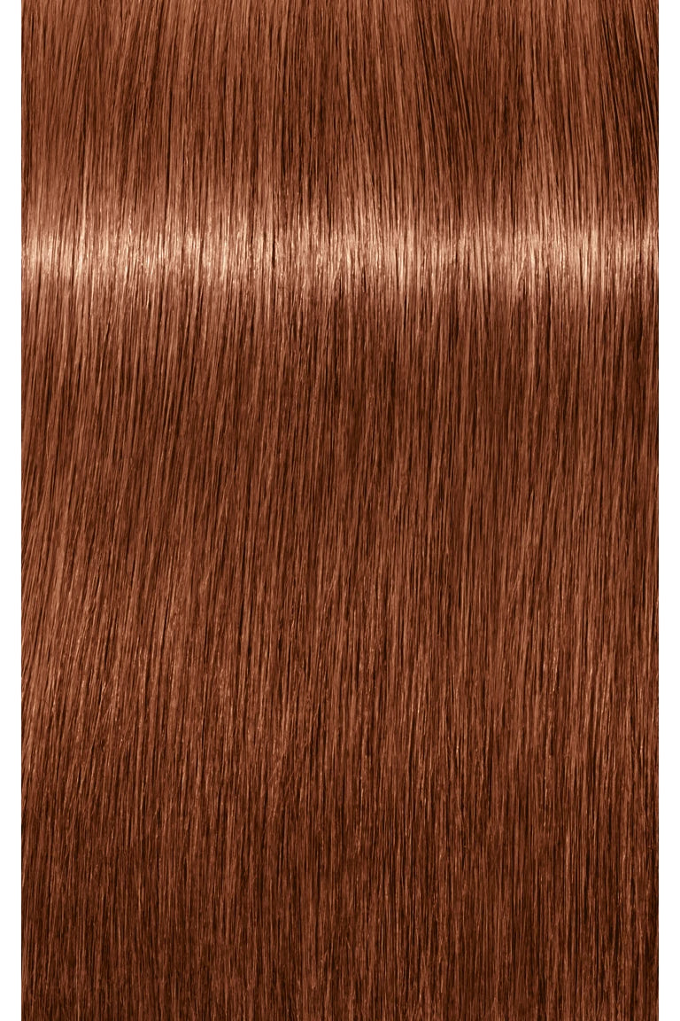 IGORA ROYAL Absolutes Permanent Color - 60ml