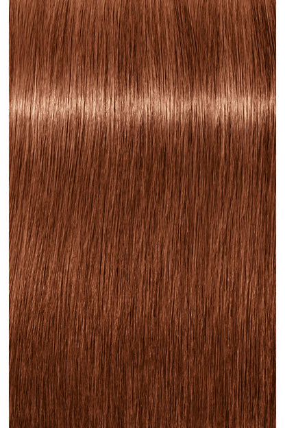 IGORA ROYAL Absolutes Permanent Color - 60ml