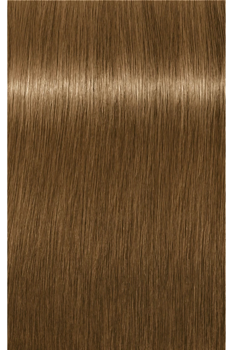 IGORA ROYAL Absolutes Permanent Color - 60ml