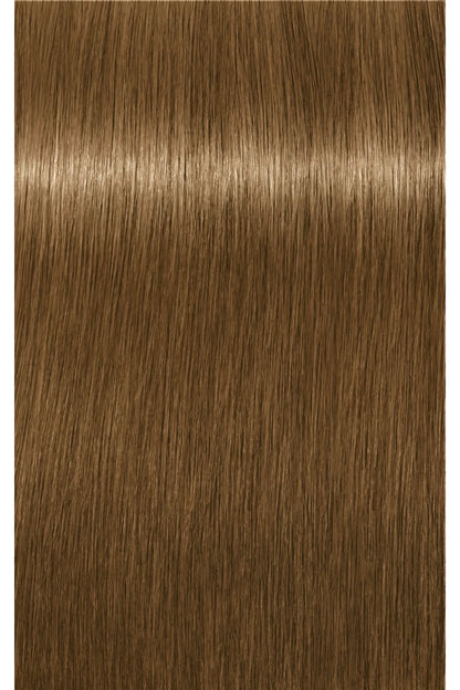 IGORA ROYAL Absolutes Permanent Color - 60ml