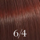 6/4