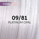 09/81