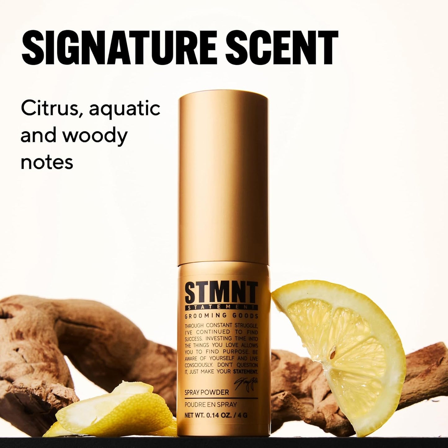 STMNT Spray Powder - 4g
