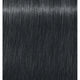 7-21 Medium Blonde Ash Cendré