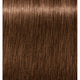 6-65 Dark Blonde Chocolate Gold