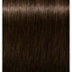 3-65 Dark Brown Chocolate Gold