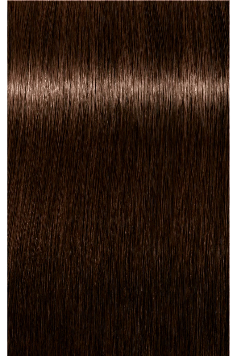 IGORA ROYAL Absolutes Permanent Color - 60ml