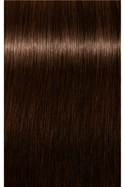 IGORA ROYAL Absolutes Permanent Color - 60ml