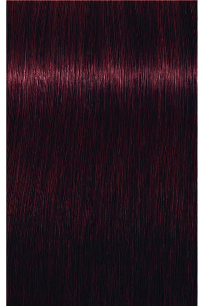 IGORA Royal Permanent Hair Color - 60 ml