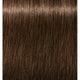 5-65 Light Brown Chocolate Gold