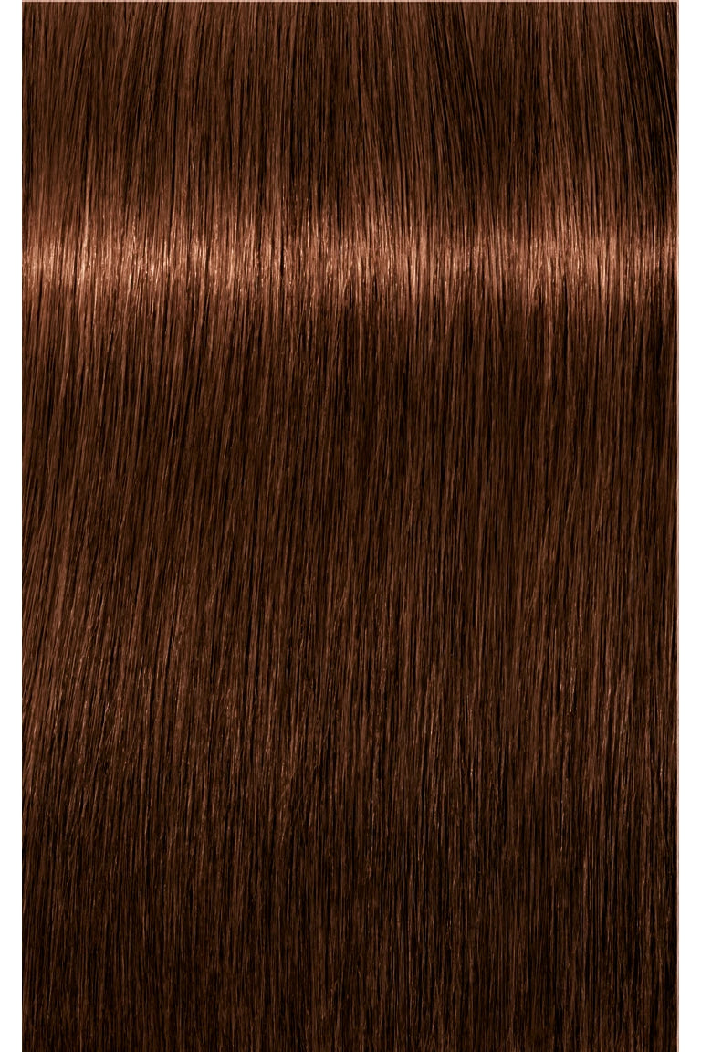 IGORA COLOR10 Permanent Hair Color
