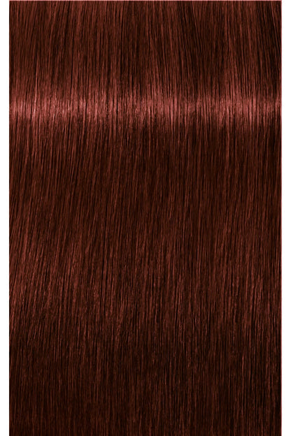 IGORA ROYAL Absolutes Permanent Color - 60ml