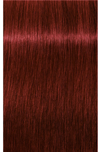 IGORA Royal Permanent Hair Color - 60 ml