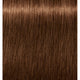 6-46 Dark Blonde Beige Chocolate