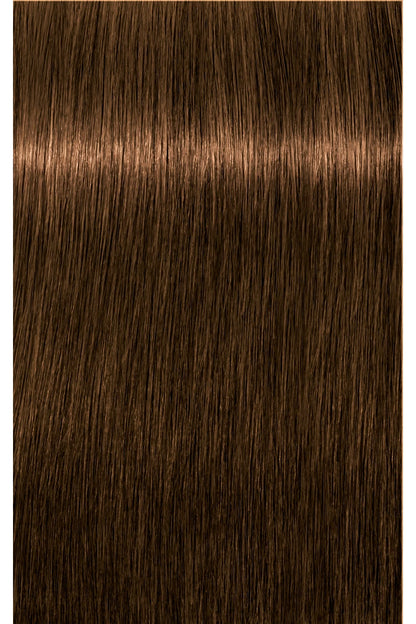 IGORA ROYAL Absolutes Permanent Color - 60ml