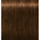 6-50 Dark Blonde Gold Natural