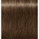 6-6 Dark Blonde Chocolate