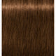 6-60 Dark Blonde Chocolate Natural