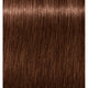6-68 Dark Blonde Chocolate Red