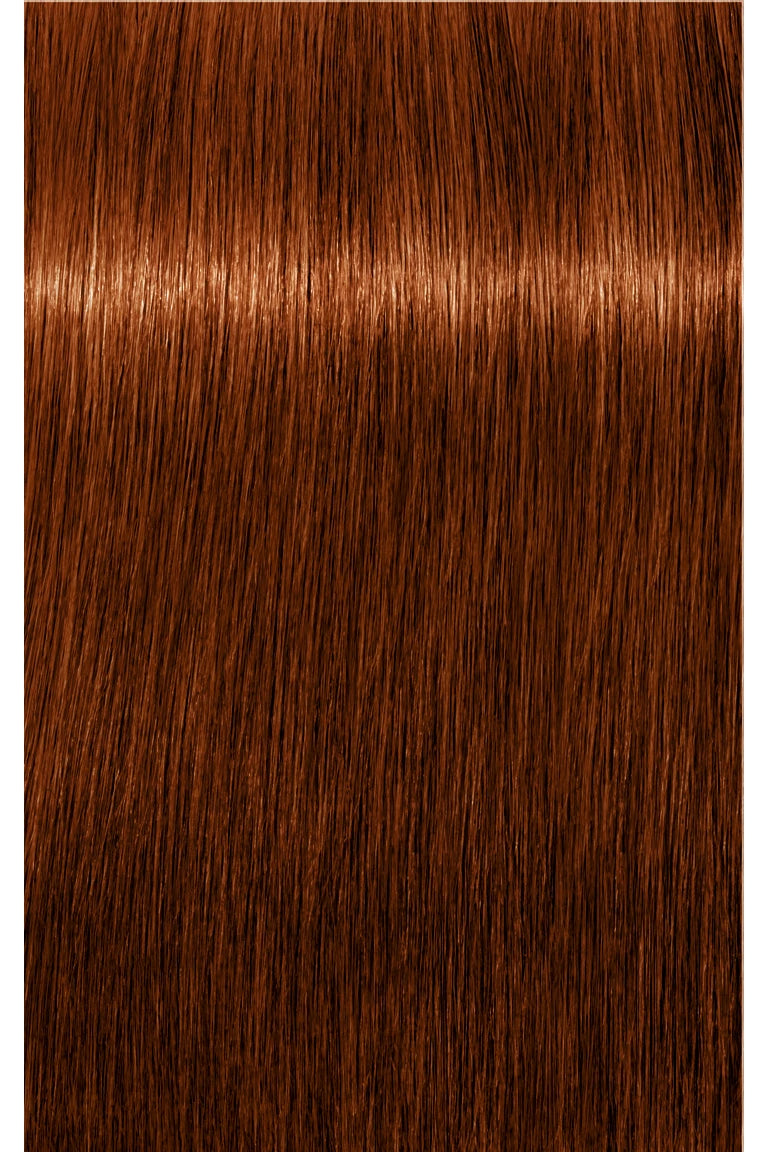 IGORA ROYAL Absolutes Permanent Color - 60ml