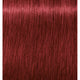 6-88 Dark Blonde Red Extra