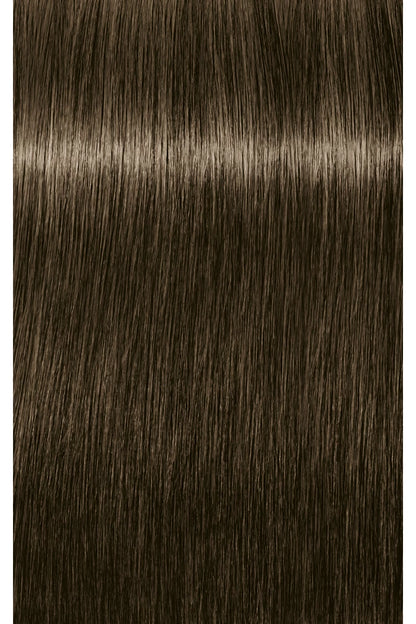 IGORA ROYAL Absolutes Permanent Color - 60ml