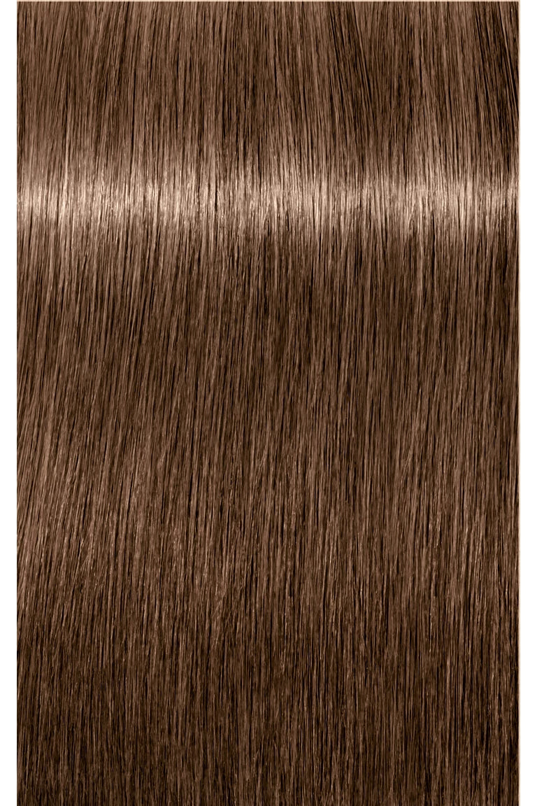 IGORA ROYAL Absolutes Permanent Color - 60ml