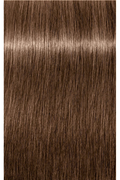 IGORA ROYAL Absolutes Permanent Color - 60ml