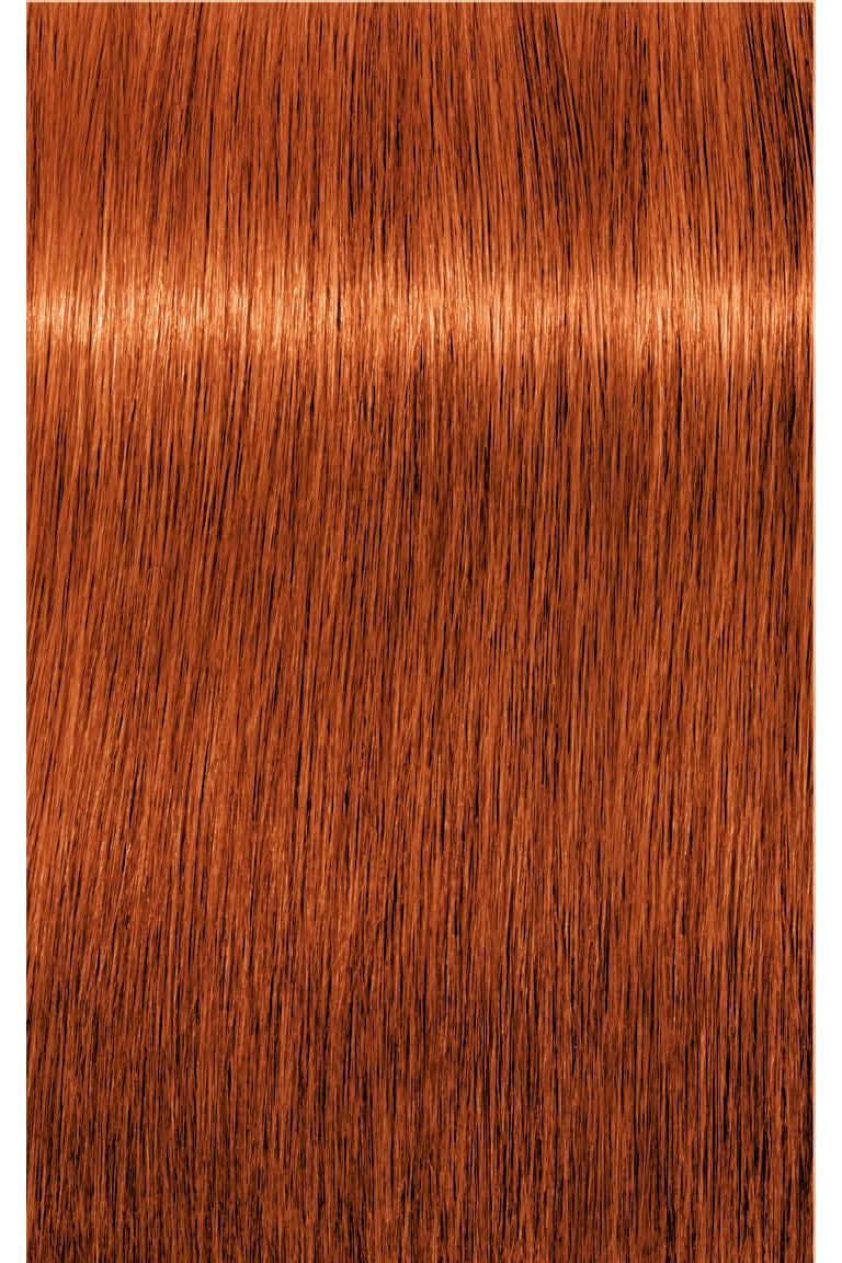 IGORA Royal Permanent Hair Color - 60 ml