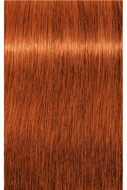 IGORA Royal Permanent Hair Color - 60 ml